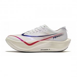 Erke 2026 Feihong Pro Men's Marathon Racing Running Shoes - White/Silver