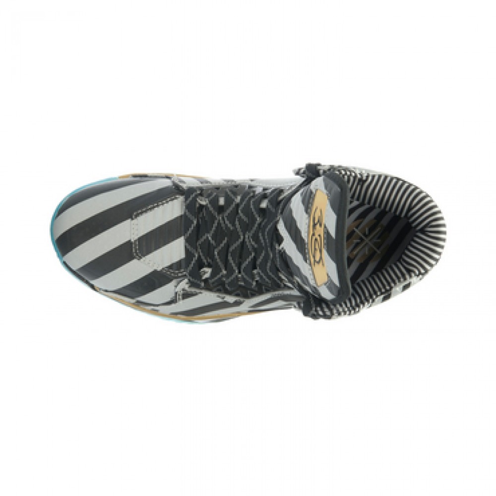 Li Ning WoW 2.0 Way of Wade 2 Birthday 