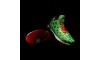 Li-Ning Way of Wade 2 "Christmas" SE