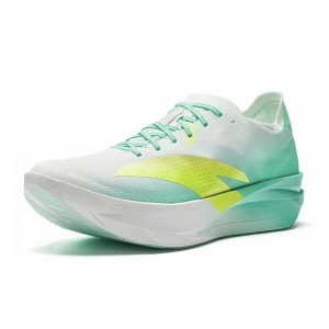 Anta C202 G9 2.0 - White/Green