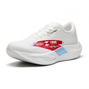Anta C202 Zone 2 SE X Zhang Xue Motorcycle Running Shoes