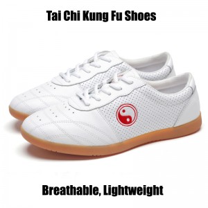 Mens Womens Chinese Kung Fu Tai Chi Sports Shoes